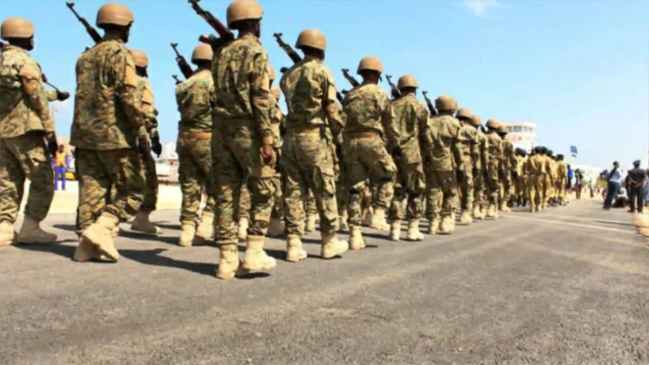 U.S. air strike in Somalia killed local militia, not al Shabaab