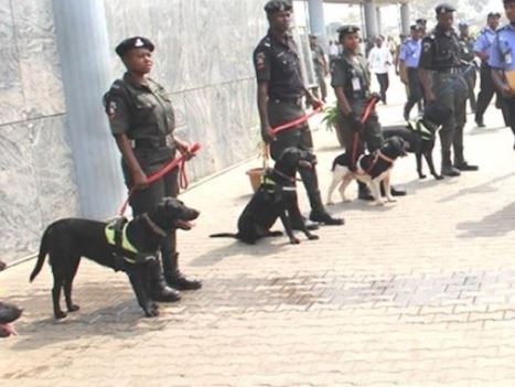NIGERIAN POLICE, CIVIL DEFENSE DEMAND N1BILLION TO FEED HORSES AND DOGS ETC AHEAD OF 2019 ELECTIONS