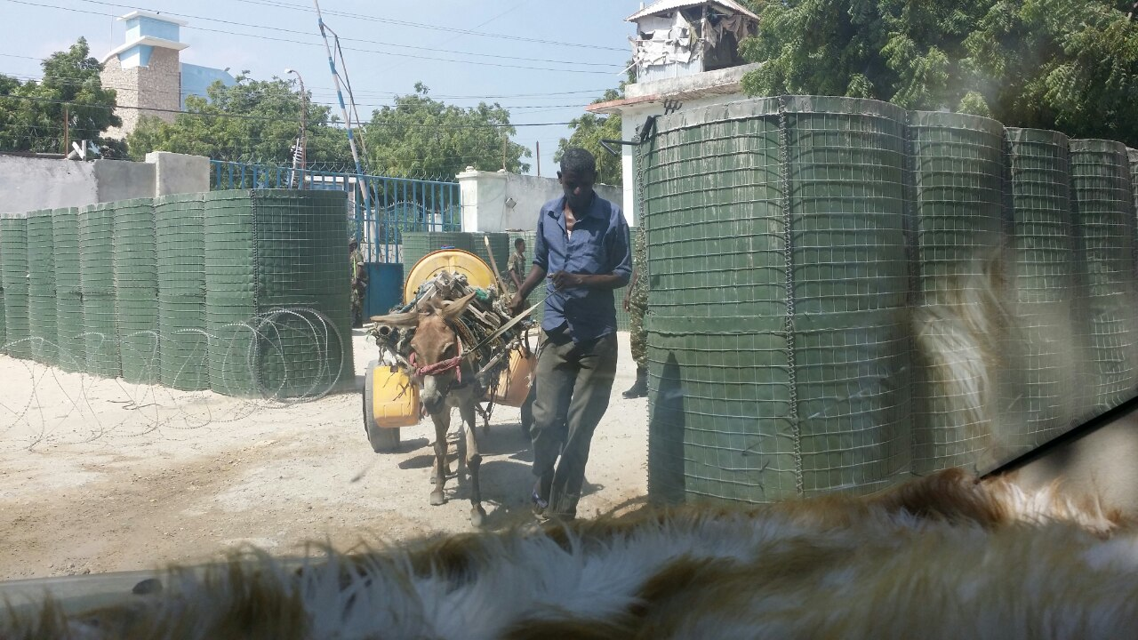 Somalia:Donkey hauling water at the gate of the ministry of information amid water shortage