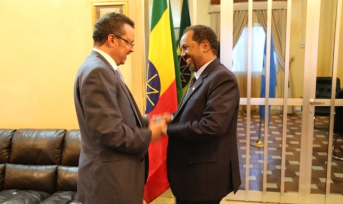 Ethiopian professor writes about Ethiopia's policy of destabilizing Somalia