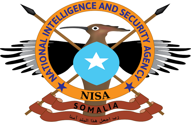 Former Intel official stripped from NISA membership