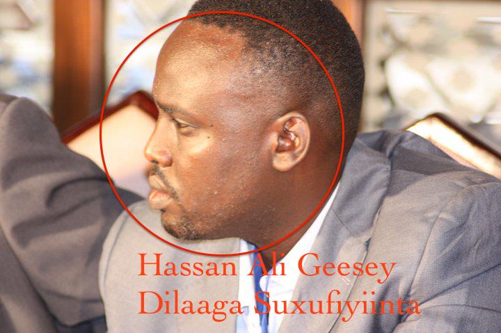 Somalia:What do you know about Hassan Ali Geesey?