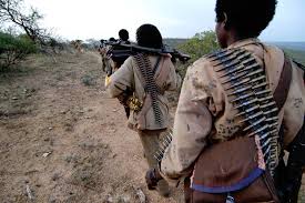 Ethiopia : ONLF and Ethiopian Soldiers Clash in Ogaden Region