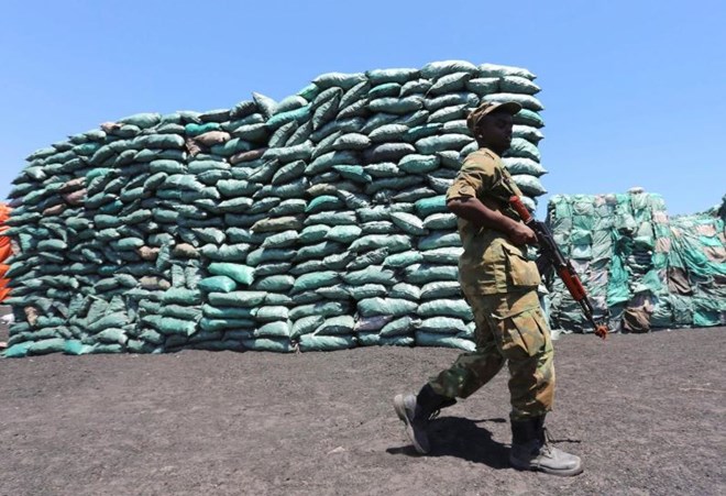 Iran is new transit point for Somali charcoal in illicit trade taxed by militants: U.N. report